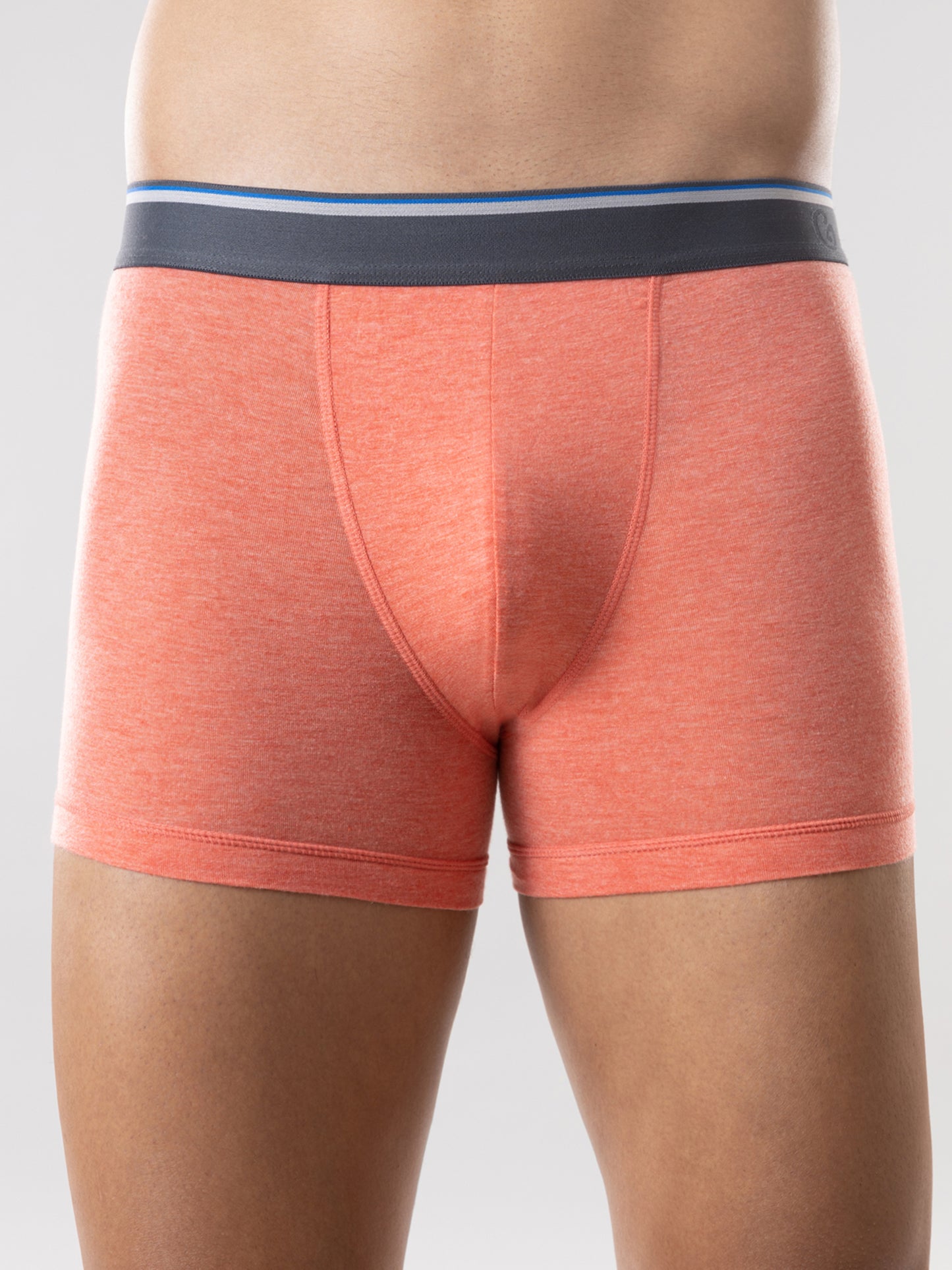 Dontmiss Men's Underwear Micro Modal Boxer Briefs Soft Trunks in 3